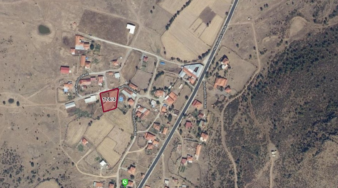 Fotoğraf